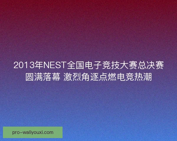 2013年NEST全国电子竞技大赛总决赛圆满落幕 激烈角逐点燃电竞热潮