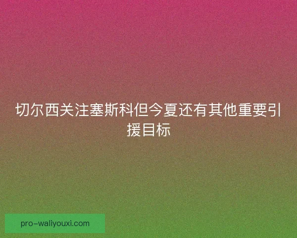 切尔西关注塞斯科但今夏还有其他重要引援目标 切尔西关注塞斯科但今夏还有其他重要引援目标